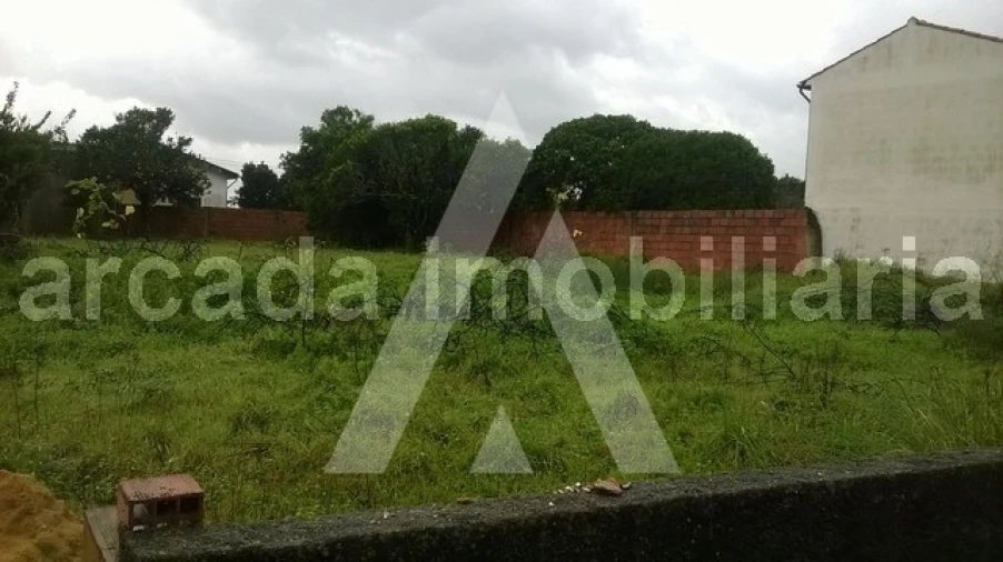 Terreno para Venda em Vagos e Santo António