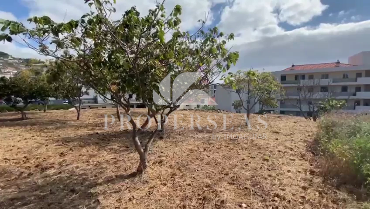 Terreno para Venda em Caniço Foto 4