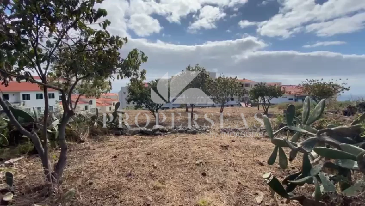 Terreno para Venda em Caniço Foto 3