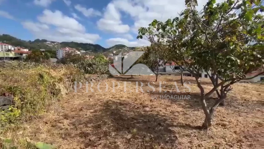 Terreno para Venda em Caniço Foto 5