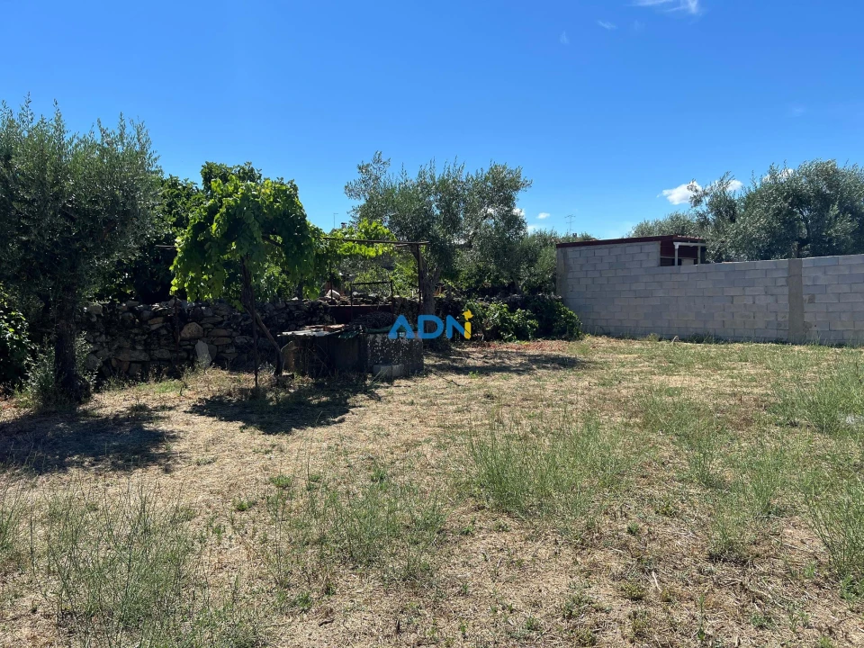 Terreno para Venda em Alcains Foto 1