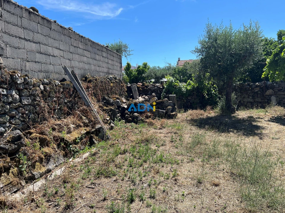 Terreno para Venda em Alcains Foto 6
