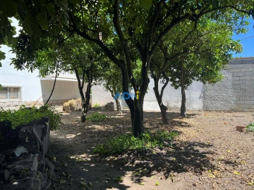 Terreno para Venda em Alcains