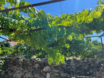 Terreno para Venda em Alcains