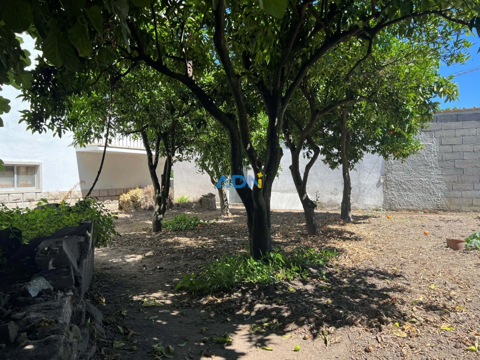 Terreno para Venda em Alcains Foto 19