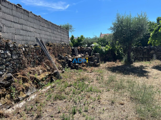 Terreno para Venda em Alcains Foto 6