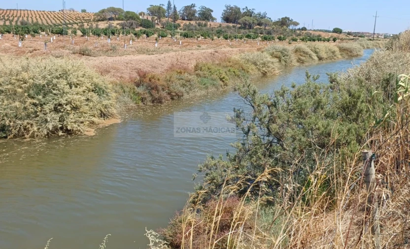 Terreno para Venda em Odiaxere Foto 2