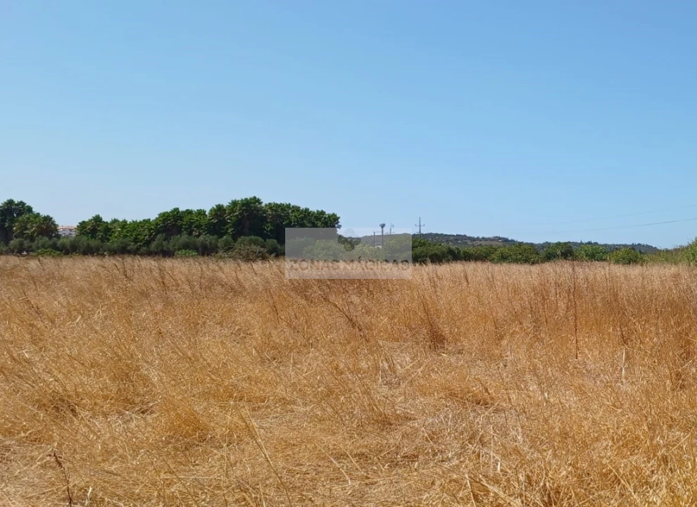 Terreno para Venda em Odiaxere Foto 1