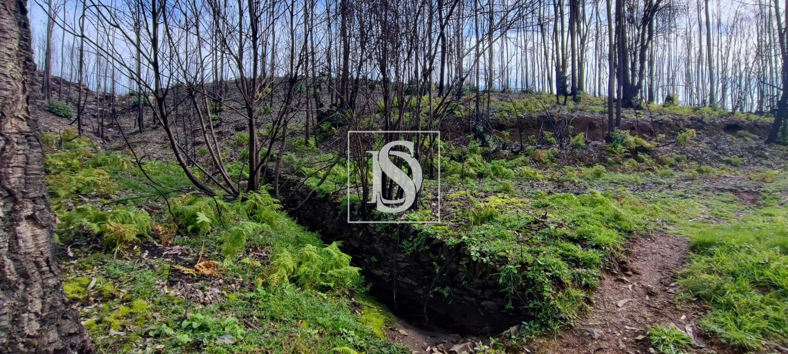 Terreno para Venda em Melres e Medas Foto 1