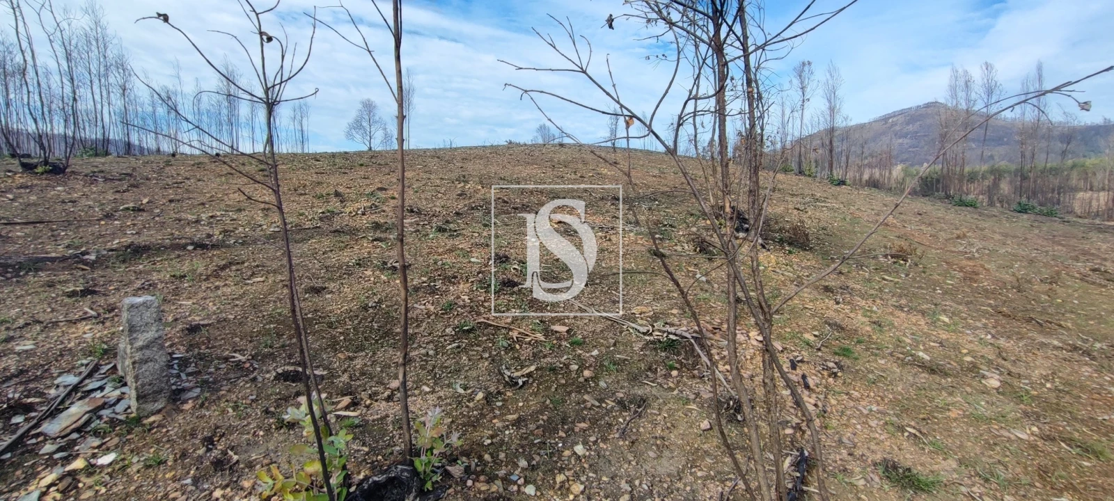Terreno para Venda em Melres e Medas Foto 5