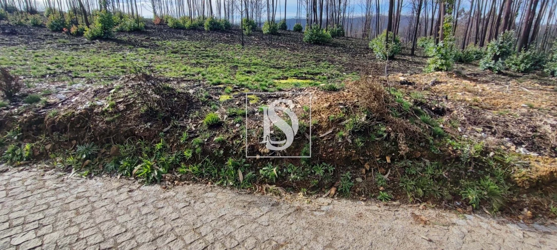 Terreno para Venda em Melres e Medas Foto 3