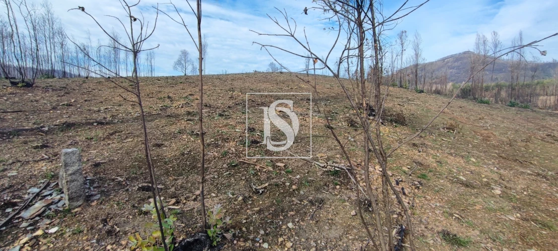 Terreno para Venda em Melres e Medas Foto 5