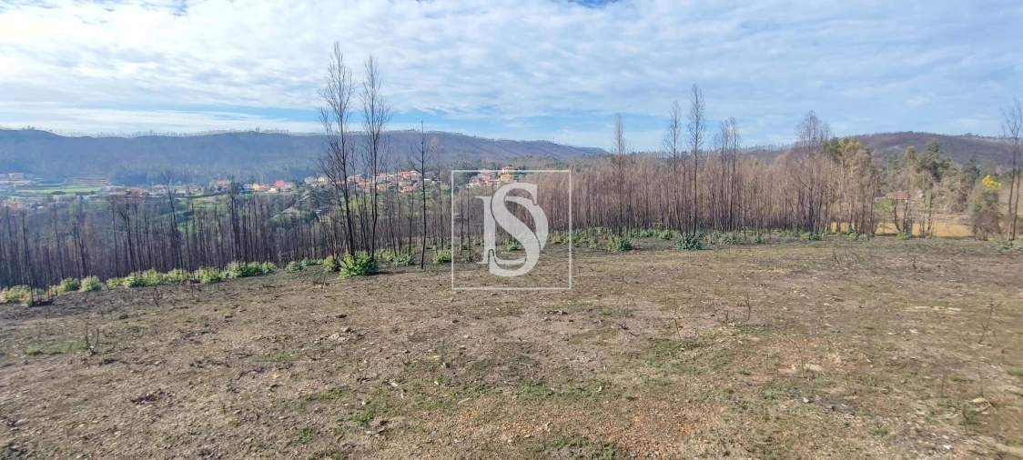 Terreno para Venda em Melres e Medas Foto 7