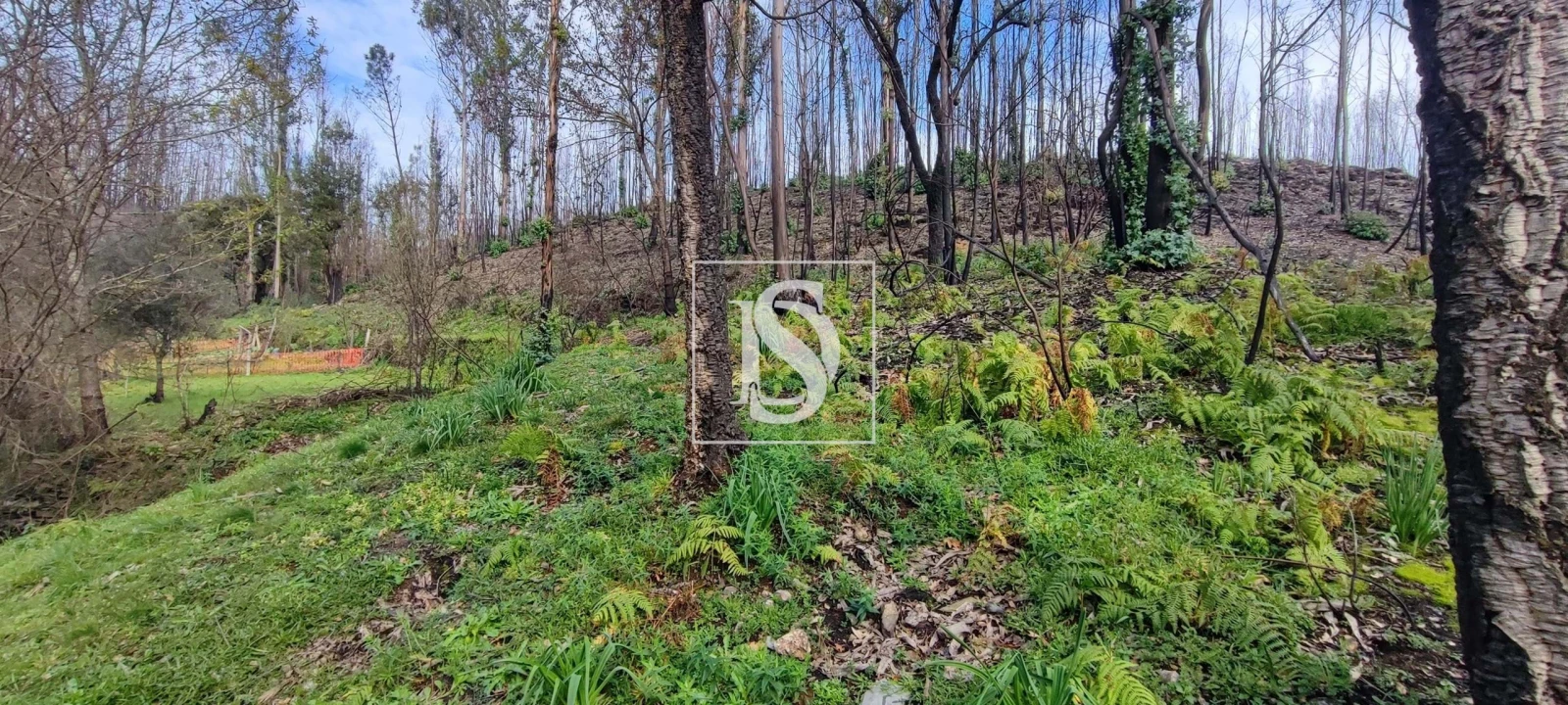 Terreno para Venda em Melres e Medas Foto 2