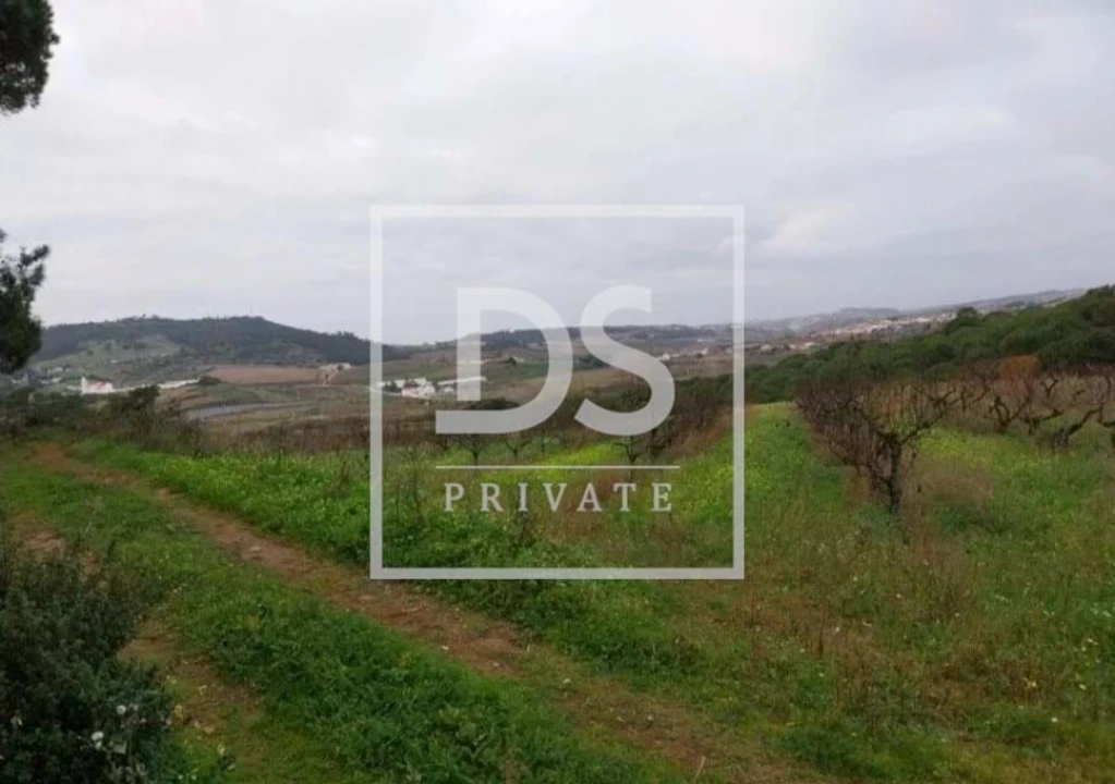 Terreno Agricola ou Rústico para Venda em Azueira e Sobral da Abelheira Foto 2