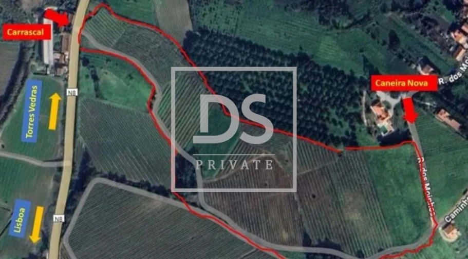 Terreno Agricola ou Rústico para Venda em Azueira e Sobral da Abelheira Foto 4