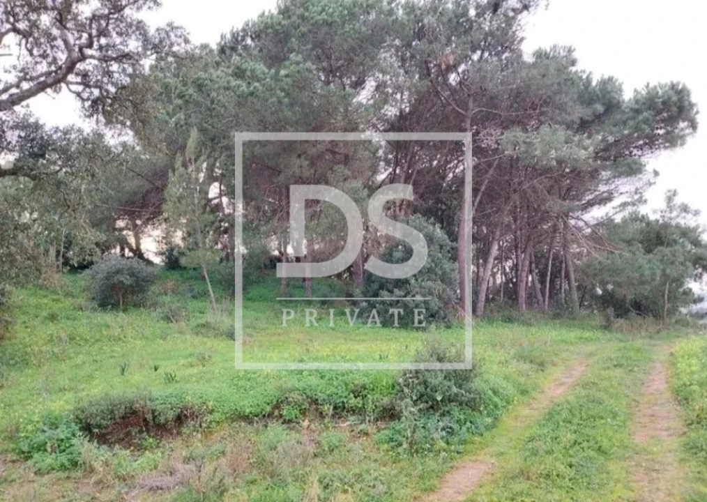 Terreno Agricola ou Rústico para Venda em Azueira e Sobral da Abelheira Foto 8