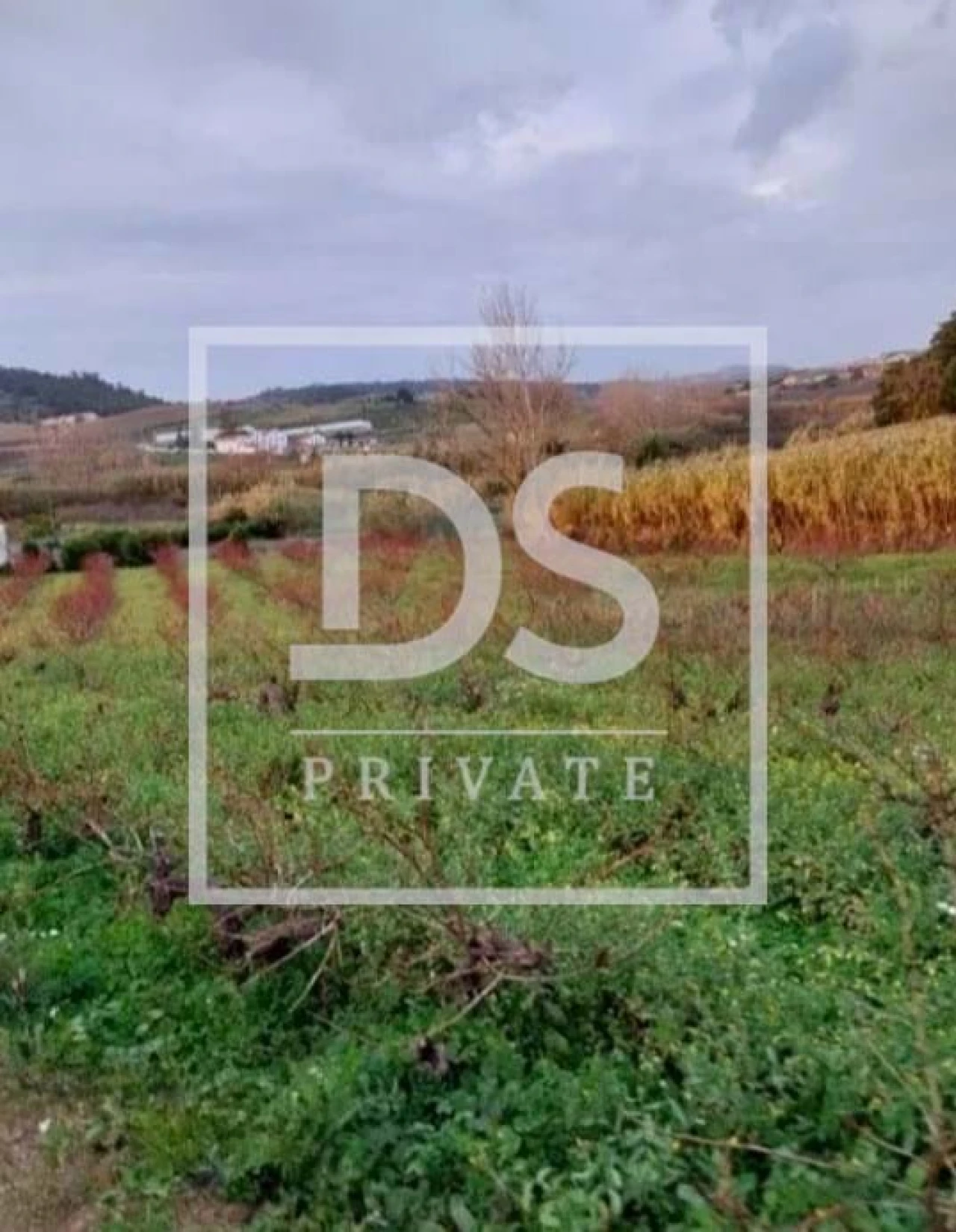 Terreno Agricola ou Rústico para Venda em Azueira e Sobral da Abelheira Foto 7