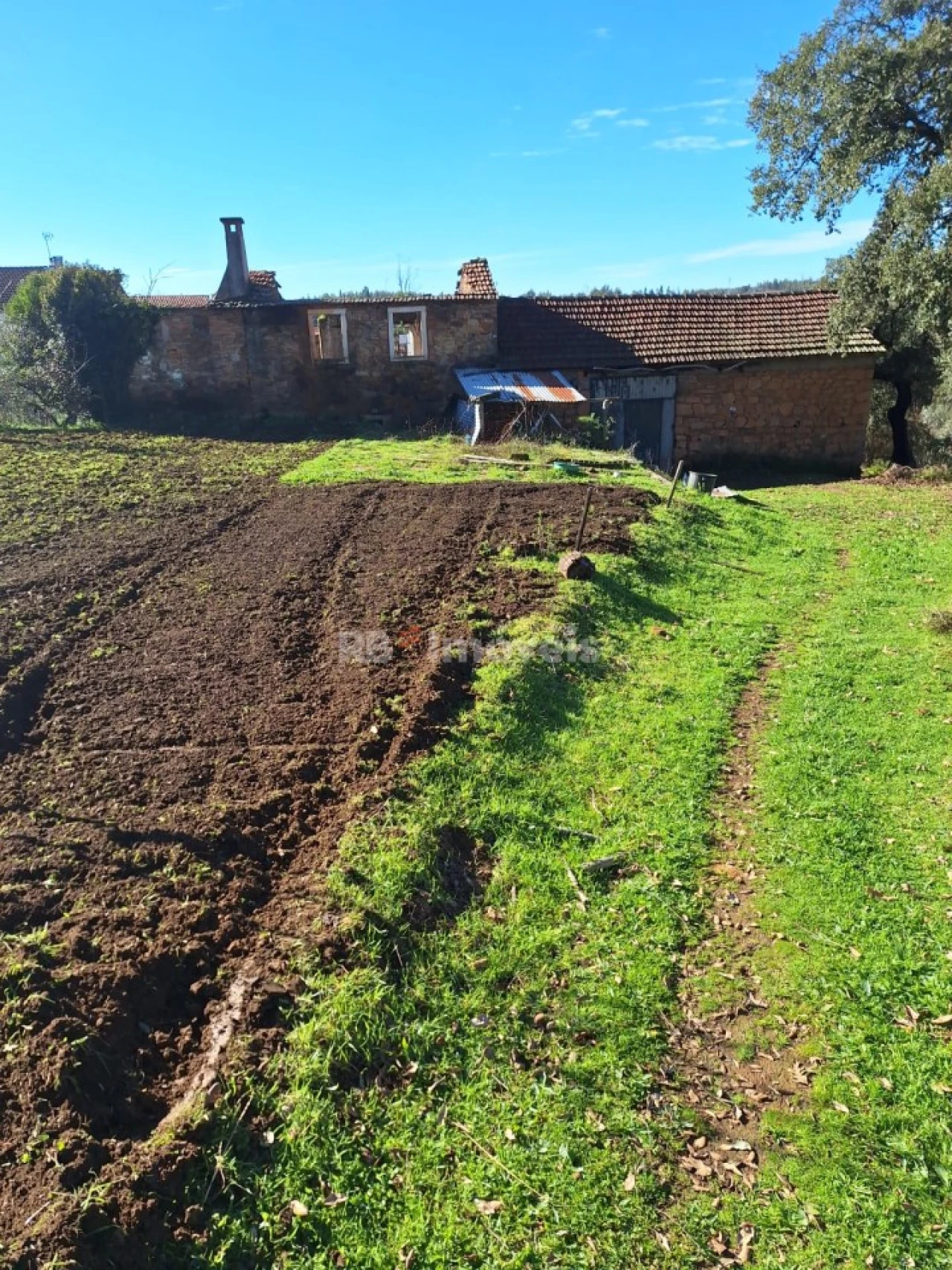 Quinta T2 para Venda em Graça Foto 2