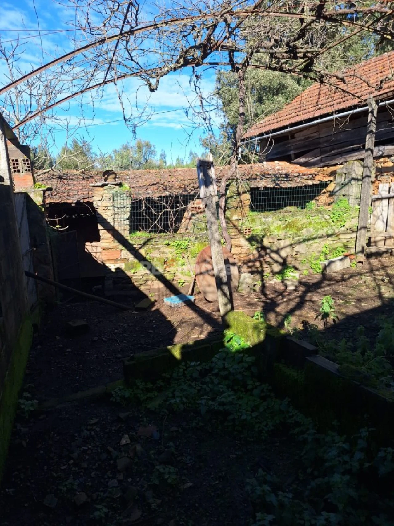 Quinta T2 para Venda em Graça Foto 7