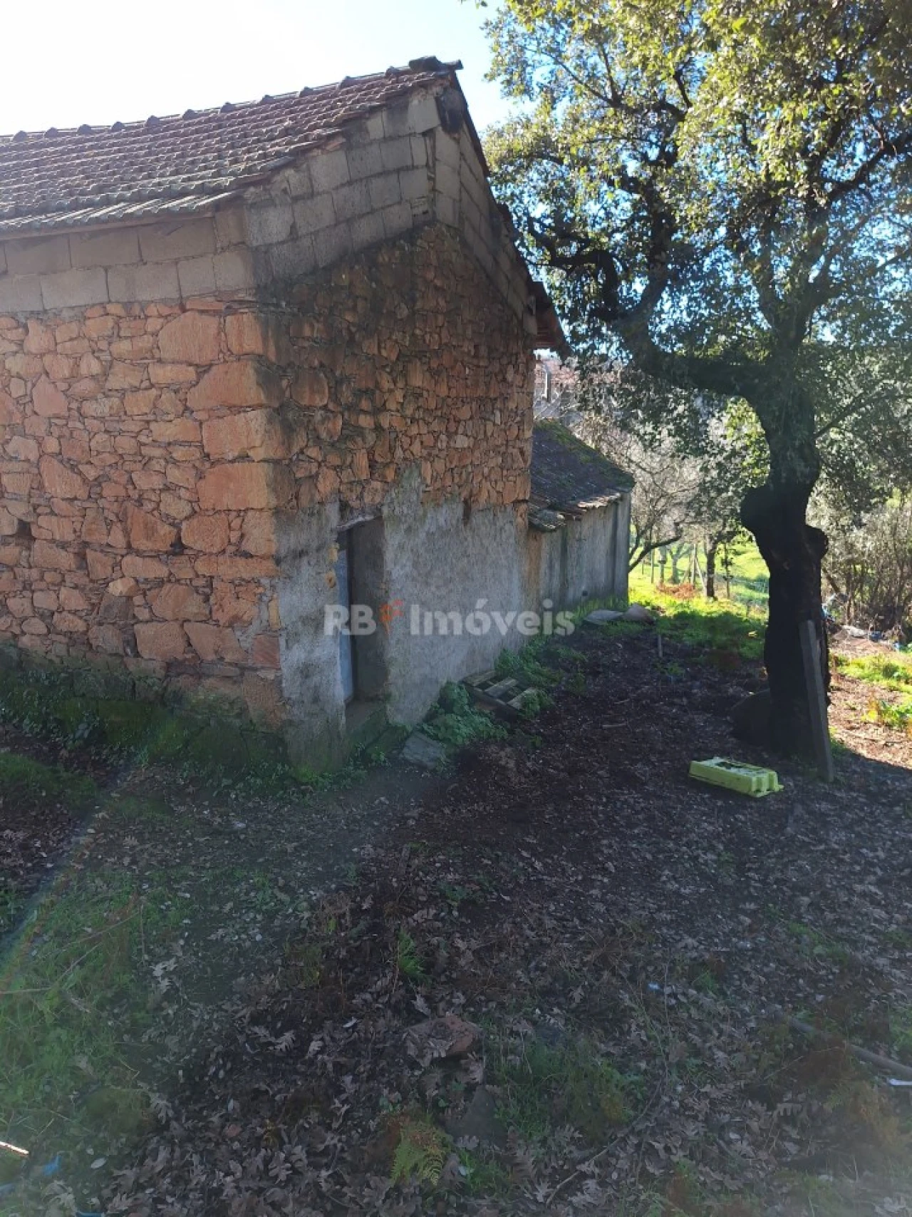 Quinta T2 para Venda em Graça Foto 9