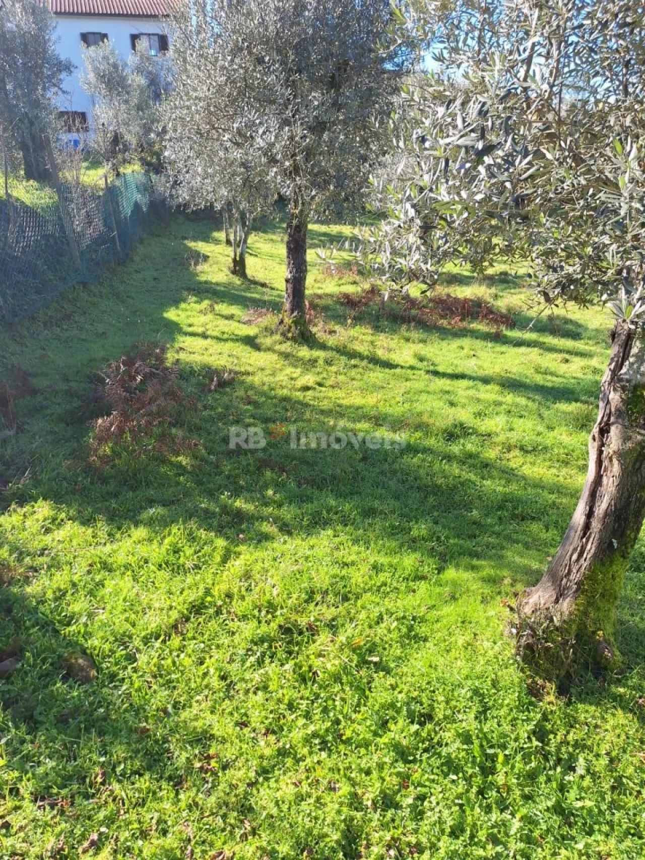 Quinta T2 para Venda em Graça Foto 13