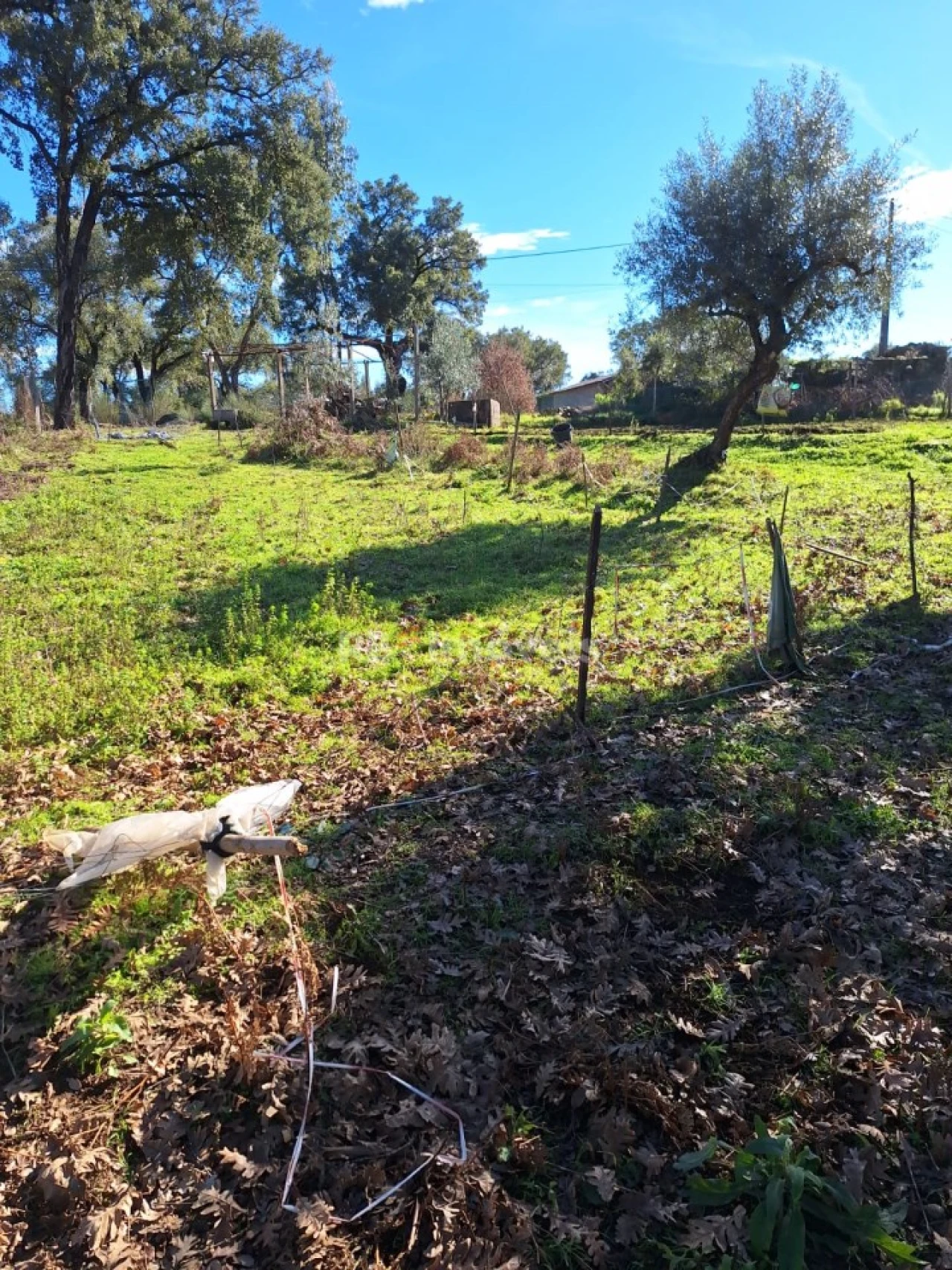Quinta T2 para Venda em Graça Foto 15