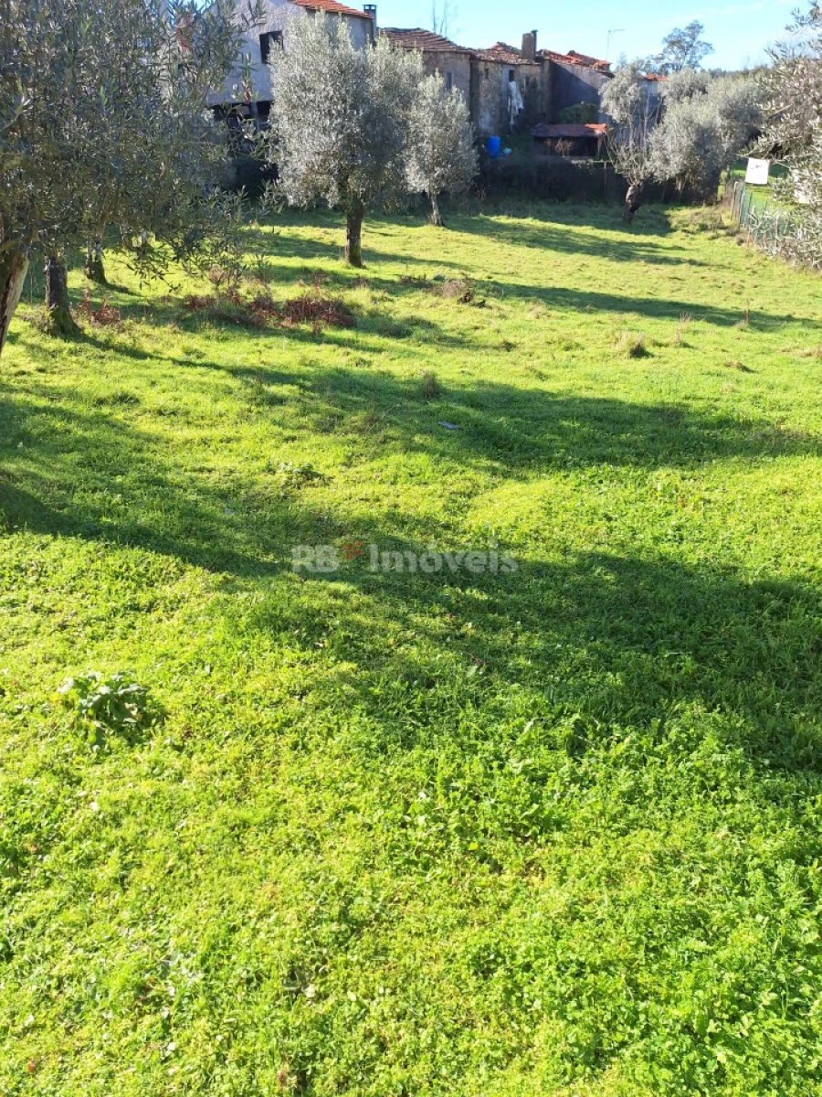 Quinta T2 para Venda em Graça Foto 14