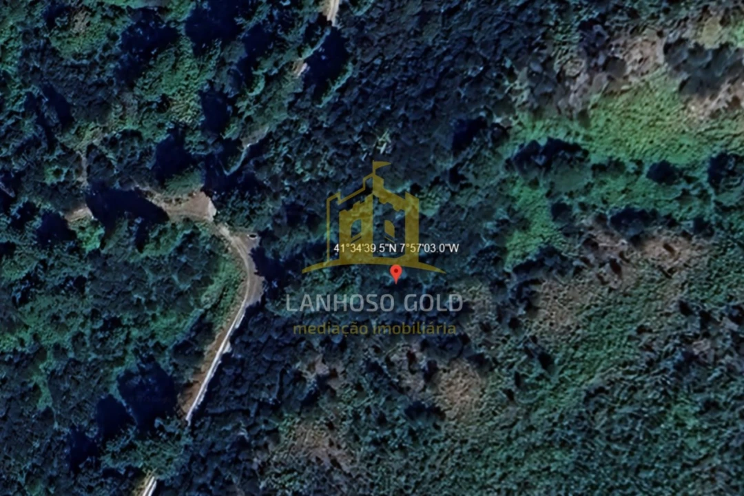 Terreno para Venda em Rio Douro Foto 3