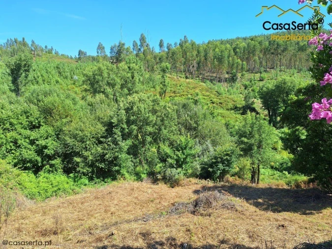 Moradia T4 para Venda em Castelo Foto 6