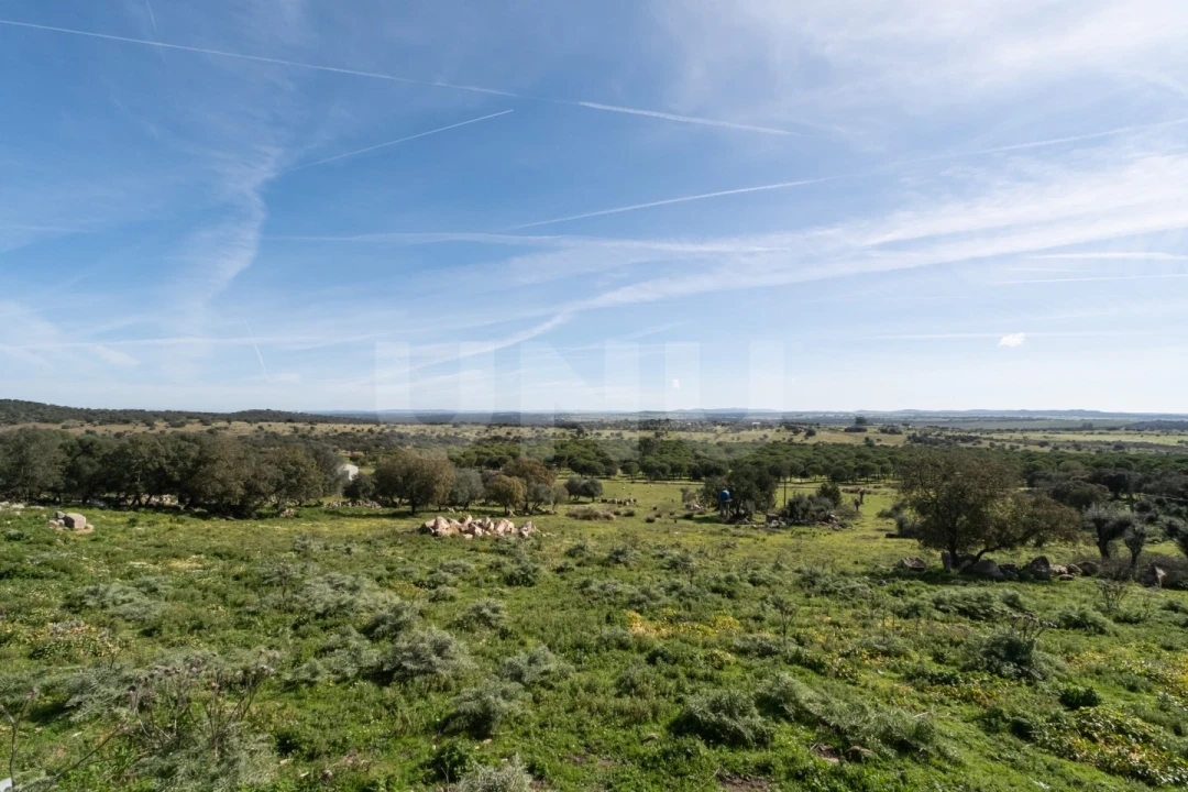 Terreno para Venda em São Gregório e Santa Justa Foto 7