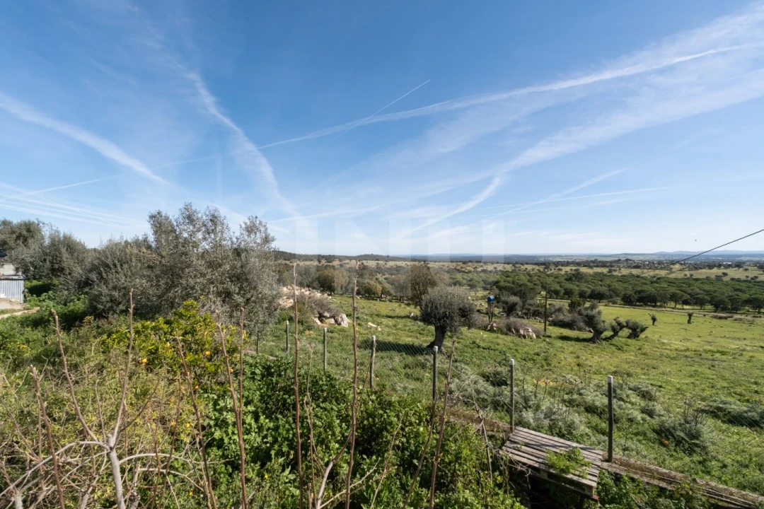 Terreno para Venda em São Gregório e Santa Justa Foto 5
