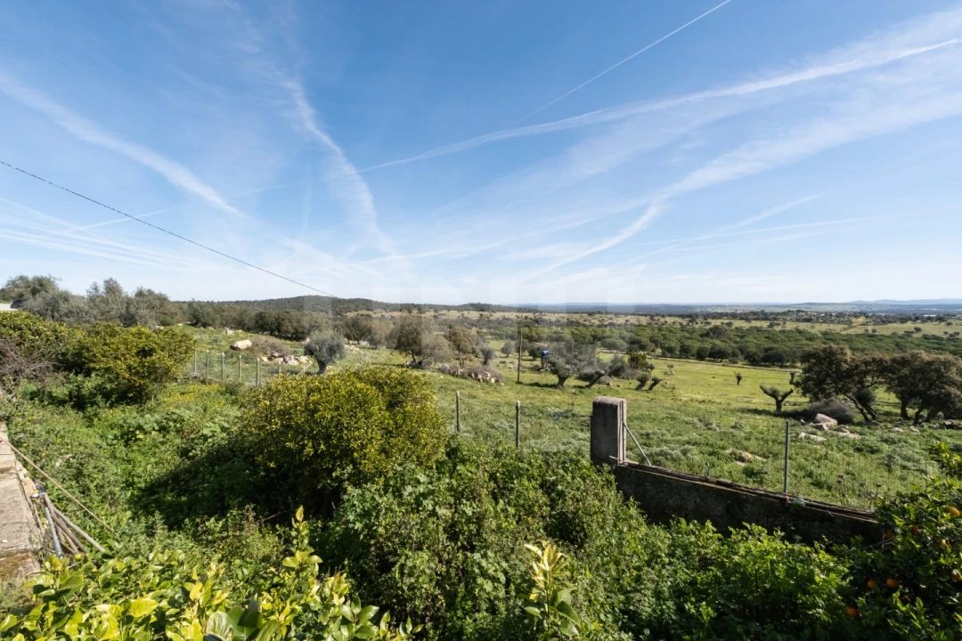 Terreno para Venda em São Gregório e Santa Justa Foto 4