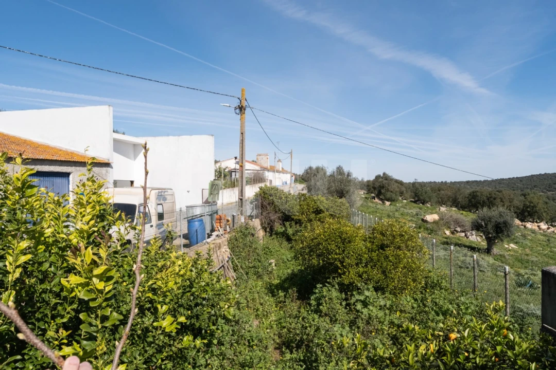 Terreno para Venda em São Gregório e Santa Justa Foto 6