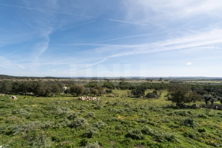 Terreno para Venda em São Gregório e Santa Justa Foto 7
