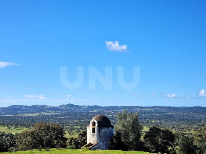 Terreno para Venda em São Gregório e Santa Justa Foto 10