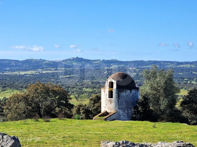 Terreno para Venda em São Gregório e Santa Justa Foto 11