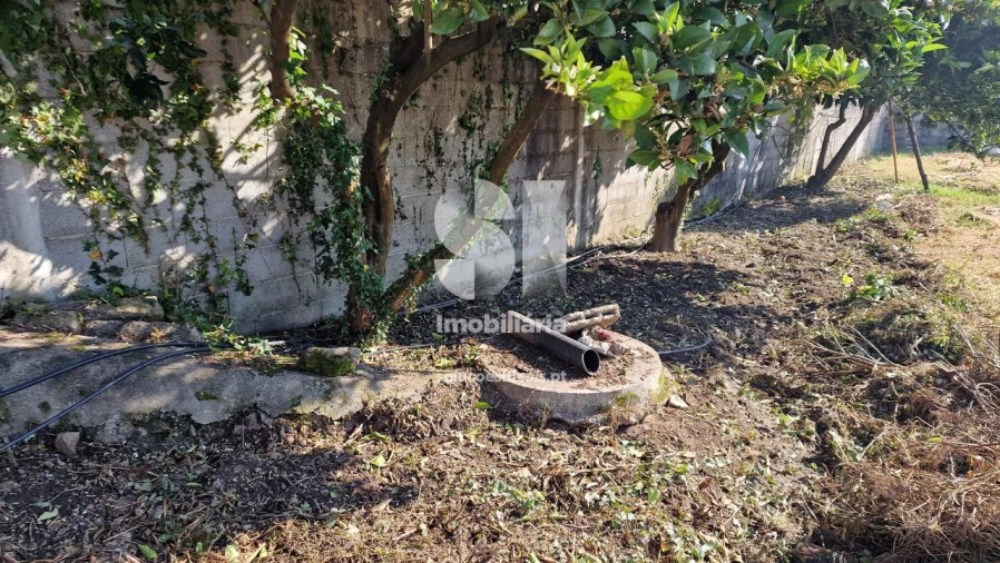 Terreno para Venda em Termas de São Vicente Foto 10