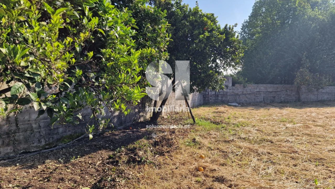 Terreno para Venda em Termas de São Vicente Foto 4