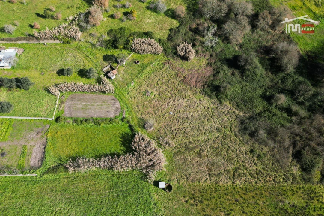 Terreno Misto para Venda em Seiça Foto 9