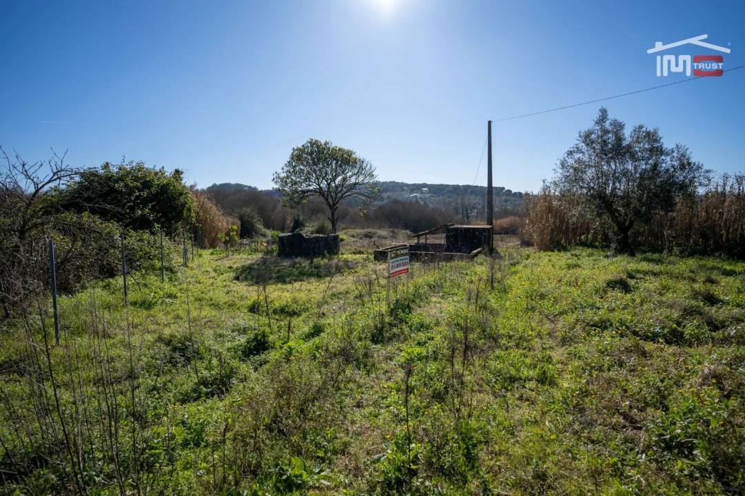 Terreno Misto para Venda em Seiça Foto 12