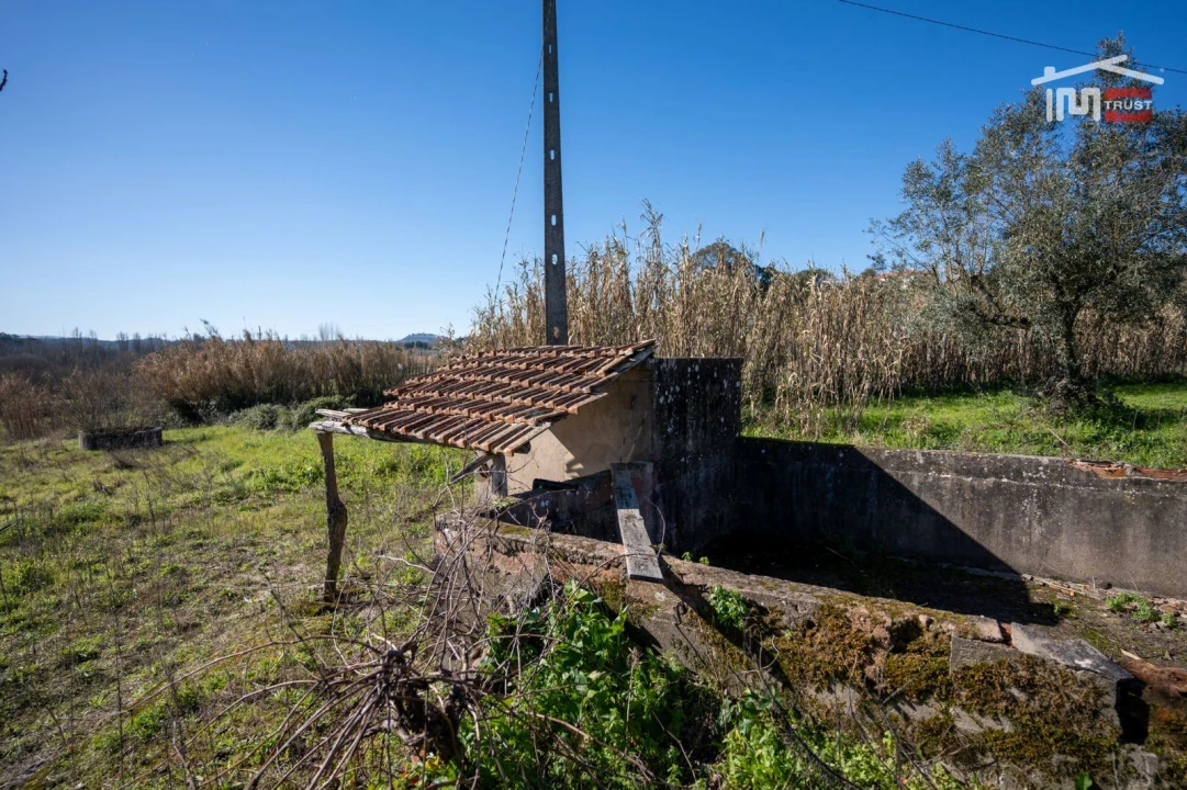 Terreno Misto para Venda em Seiça Foto 17