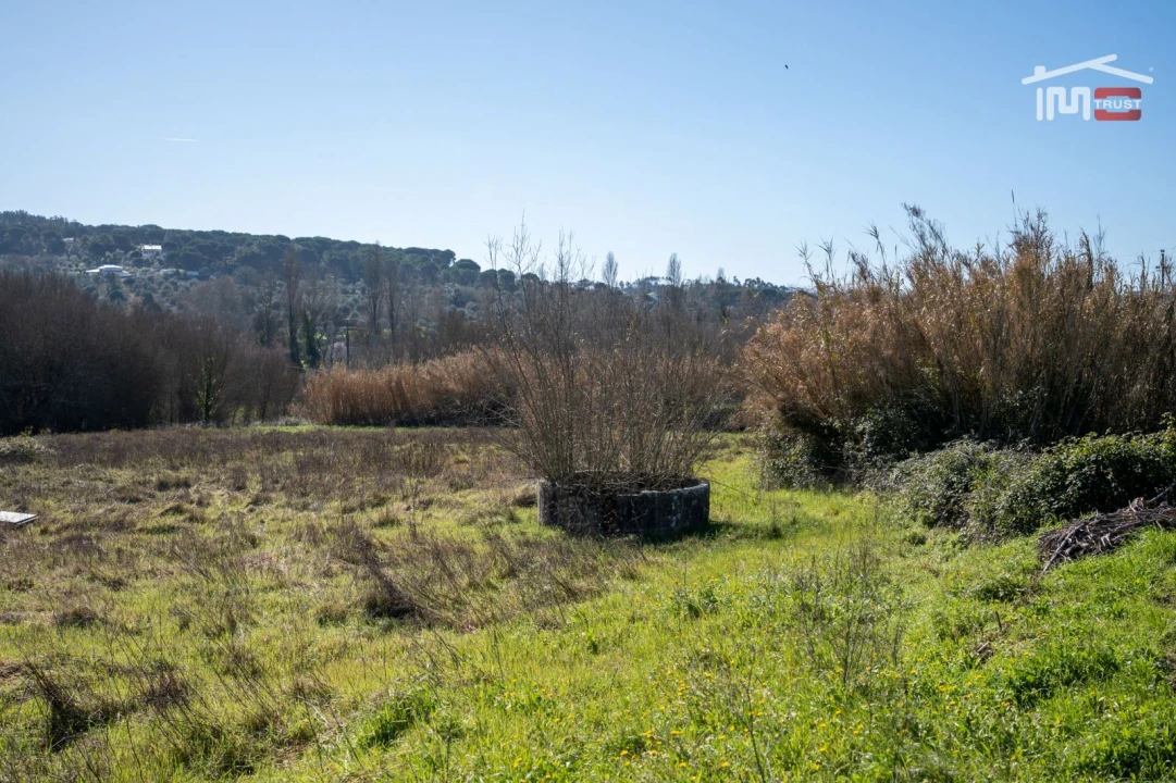 Terreno Misto para Venda em Seiça Foto 22