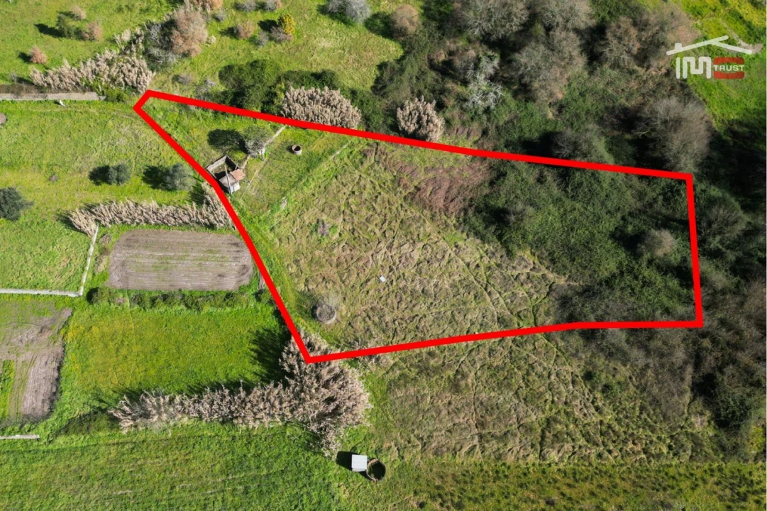 Terreno Misto para Venda em Seiça Foto 1