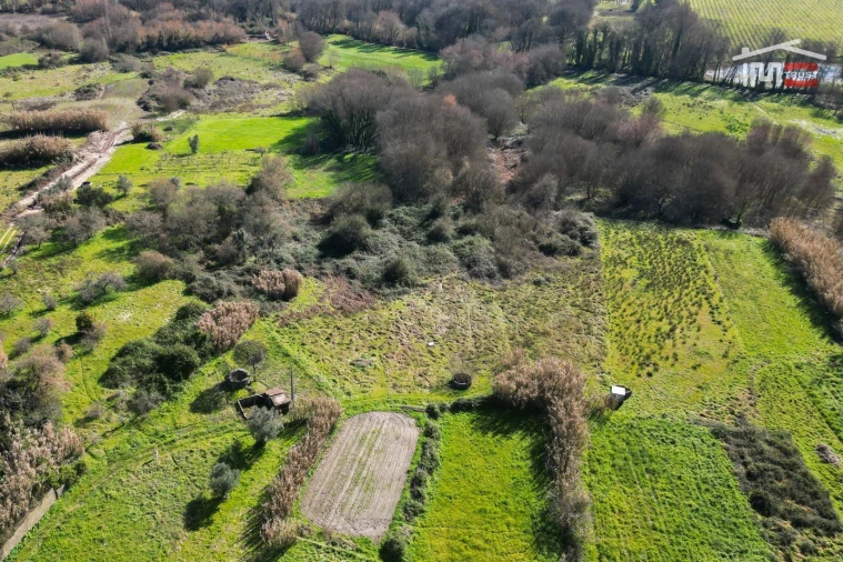 Terreno Misto para Venda em Seiça Foto 6