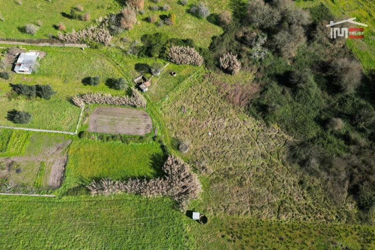Terreno Misto para Venda em Seiça Foto 8