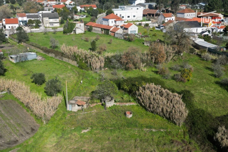 Terreno Misto para Venda em Seiça Foto 4