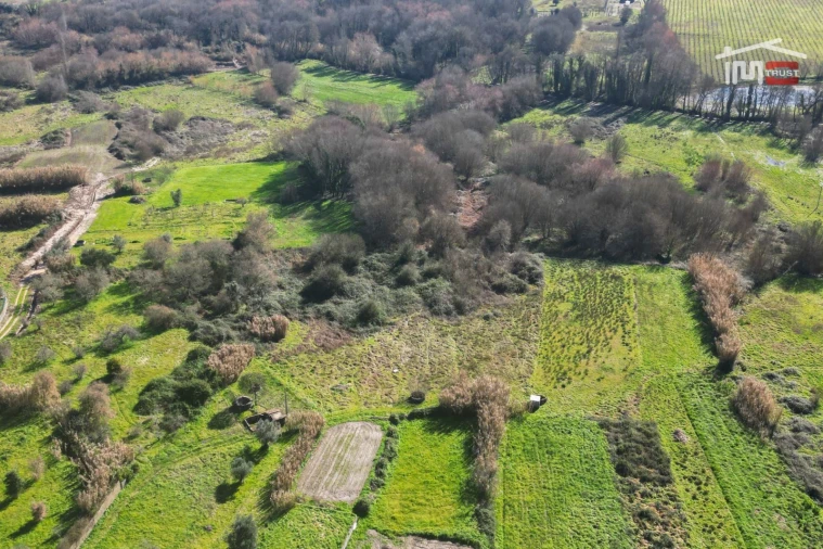 Terreno Misto para Venda em Seiça Foto 10