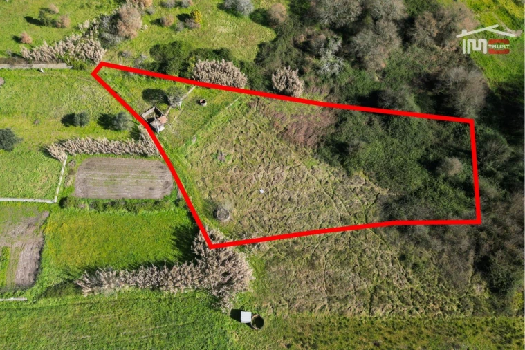 Terreno Misto para Venda em Seiça