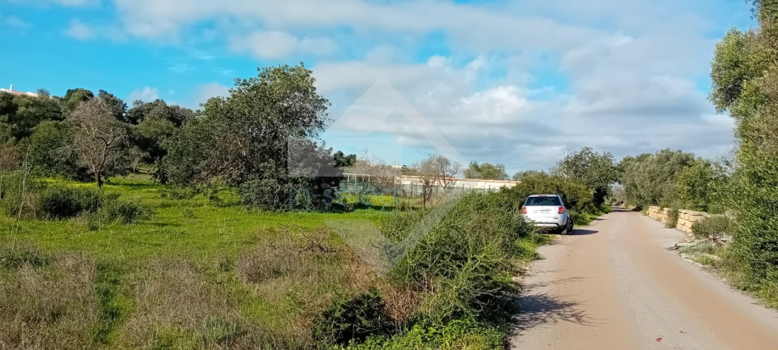 Terreno Agricola ou Rústico para Venda em Loule (São Sebastião) Foto 4